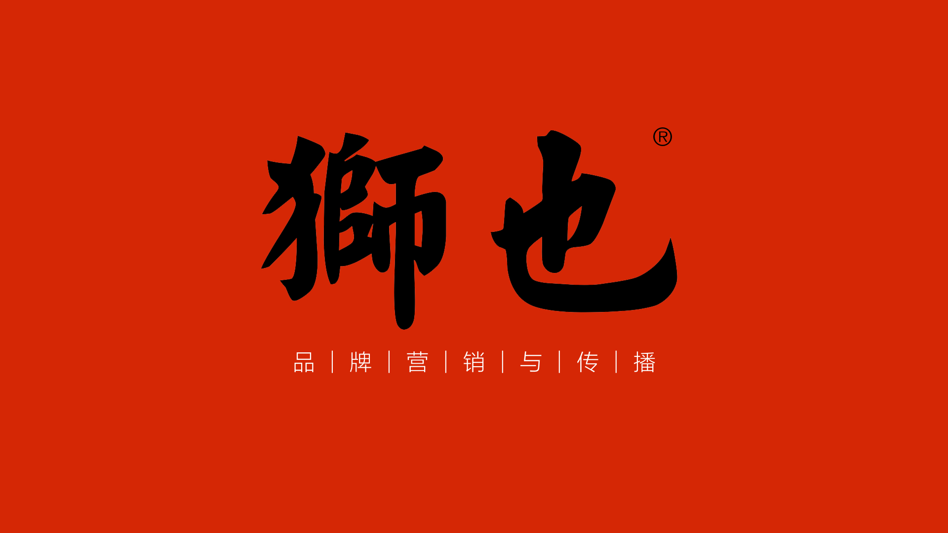 狮也咨询有限公司