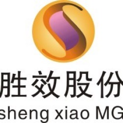 广东胜效传媒股份有限公司